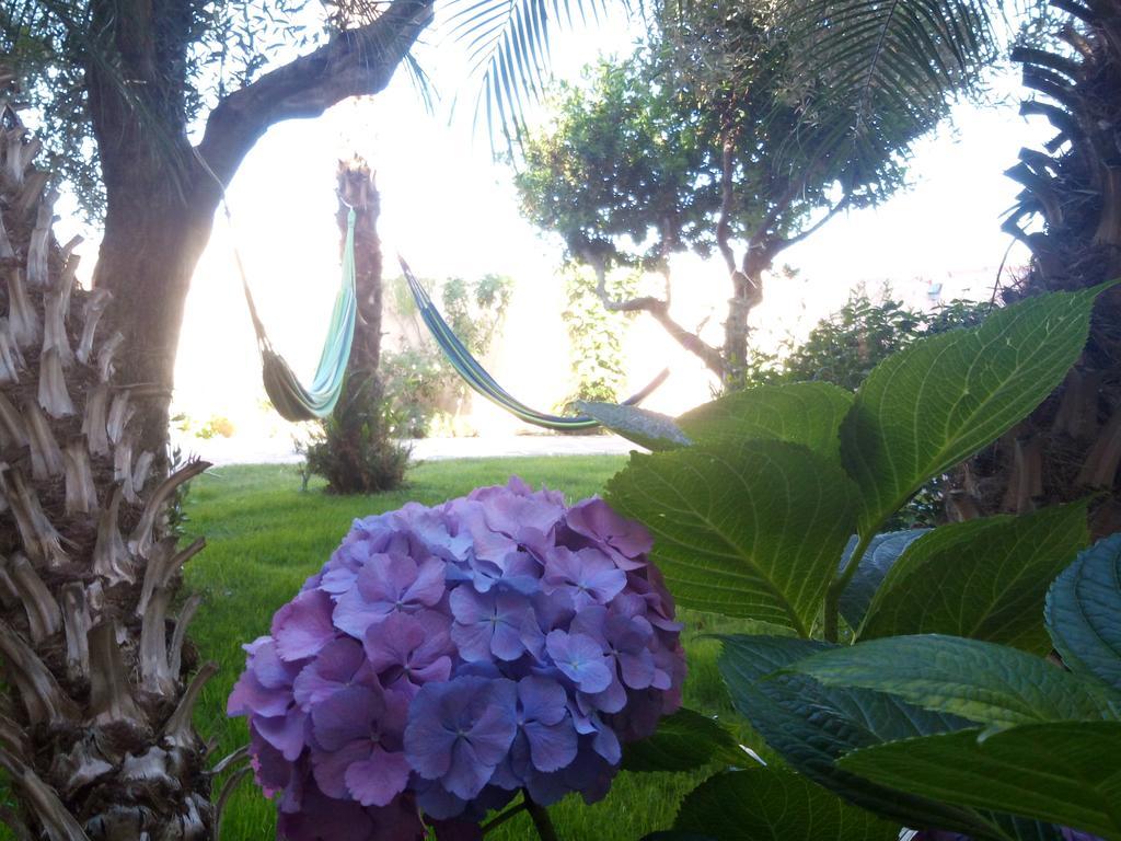 Nora Guesthouse Rooms And Villas 풀라 외부 사진